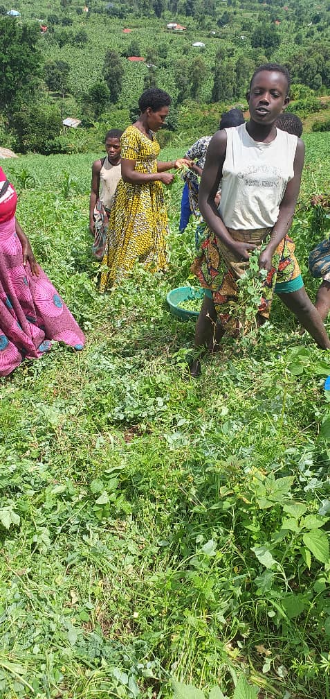 Field-Based Skills Activity
